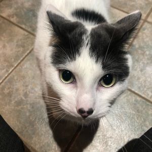 Meet your Posher, Tracy